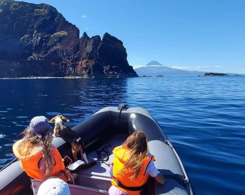 São Jorge: Boat trip with snorkeling (2 hours) - Setting the Scene: A Well-Organized Start