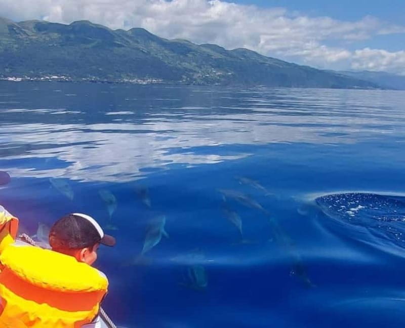 São Jorge: Boat trip with snorkeling (2 hours) - Final Thoughts: A Short but Snappy Marine Escape