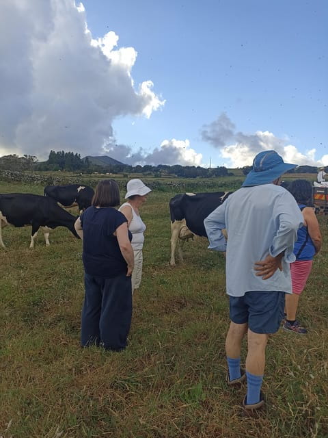 Sao Jorge Cheese Tour - Half day - Frequently Asked Questions