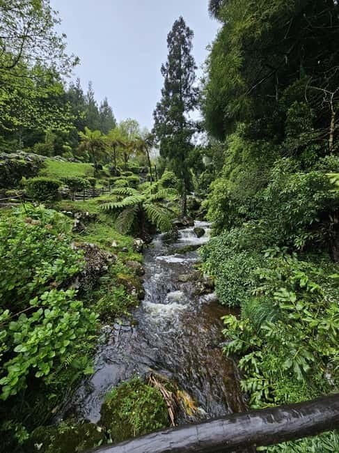 São Jorge Island Panoramic Adventure  4 Hour Tour - Final thoughts