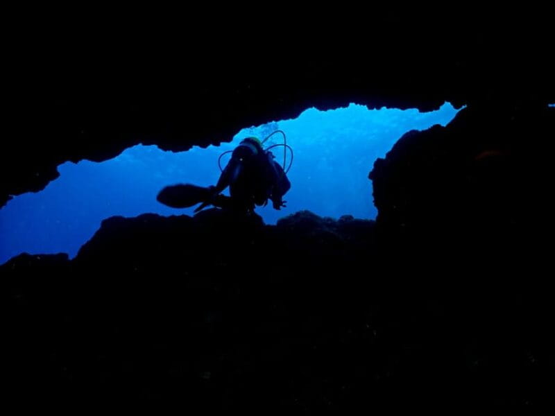 São Jorge: Scuba Diving - 2 Dives (Half Day) - Key points / Takeaways