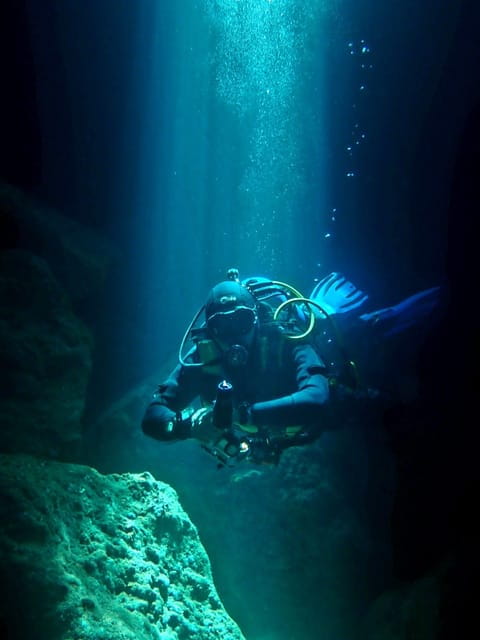 São Jorge: Scuba Diving - 2 Dives (Half Day) - Entering the Underwater Realm: What to Expect