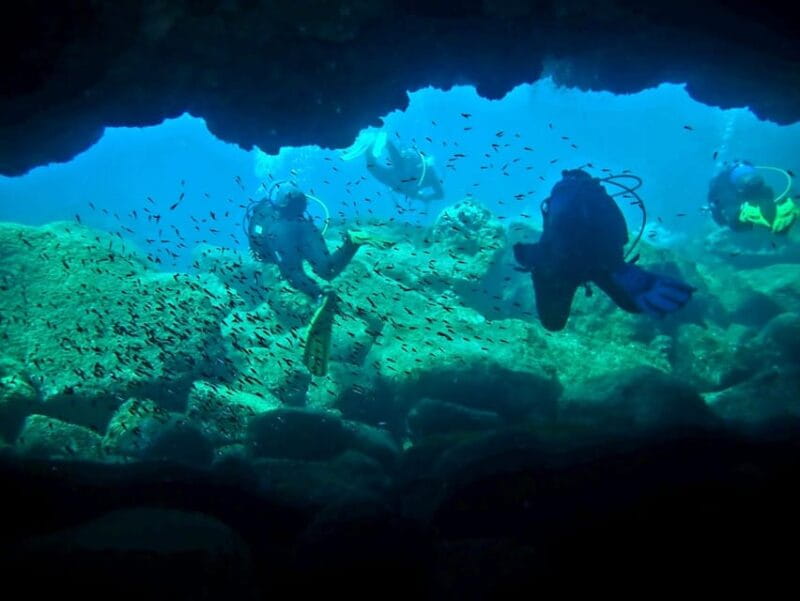 São Jorge: Scuba Diving - 2 Dives (Half Day) - What’s Included and What’s Not