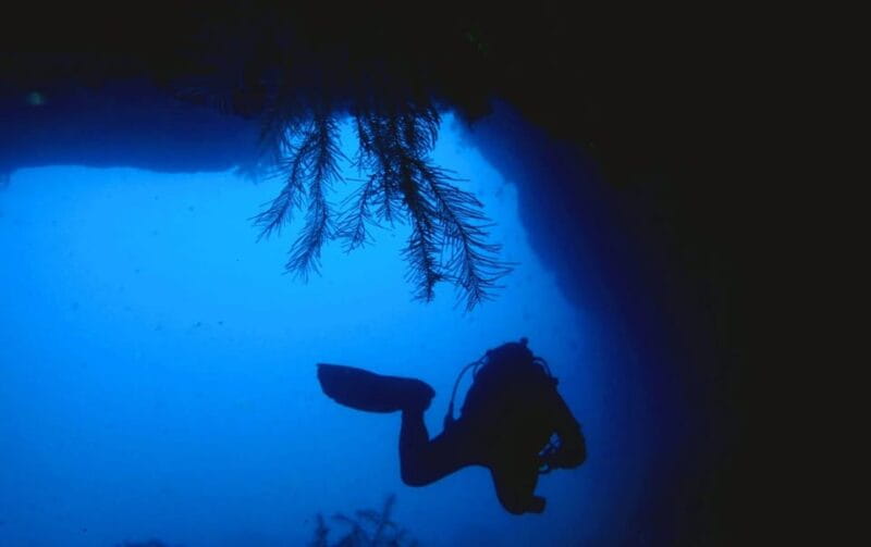 São Jorge: Scuba Diving - 2 Dives (Half Day) - Final Thoughts: Who Will Appreciate This Tour?