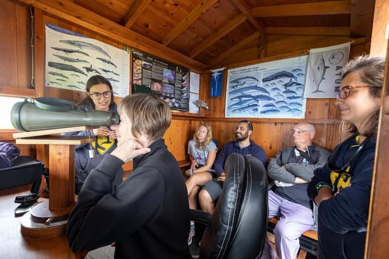 São Miguel: Azores Whaling Heritage Tour - FAQ: Your Practical Questions Answered