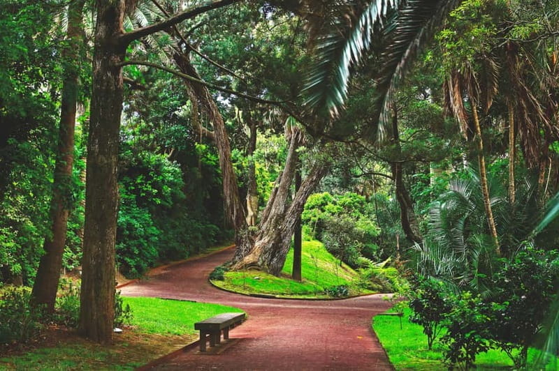 São Miguel: Botanical Gardens and Cave Tour - FAQ