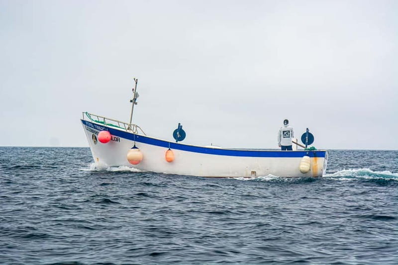 São Miguel: Coastal Scenic Boat Ride on a Traditional Boat - Final thoughts: Is this the right tour for you?