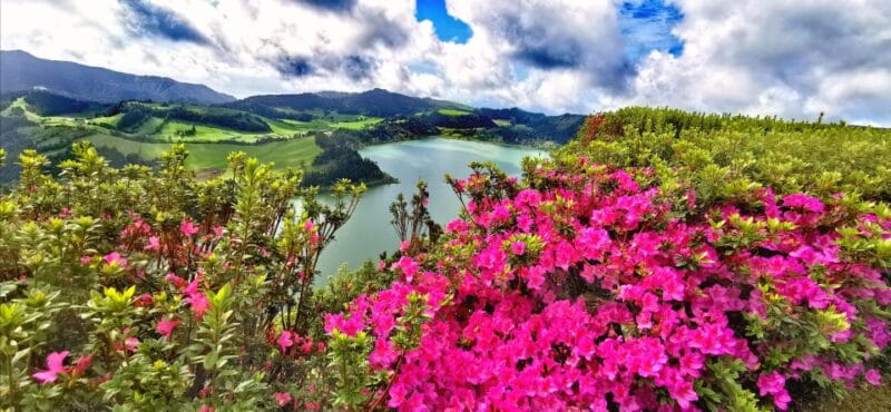 São Miguel: Furnas and Nordeste Full-Day Tour with Lunch - Who Is This Tour Best For?