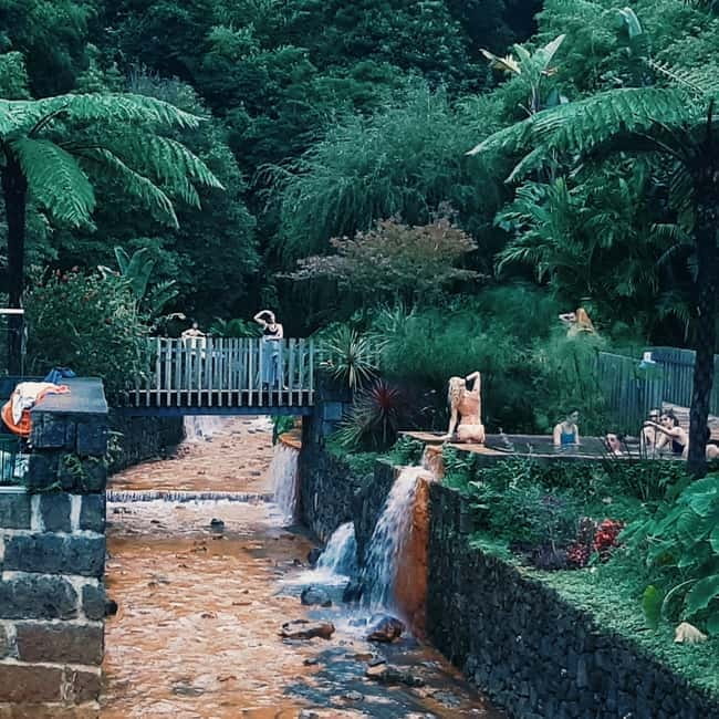 São Miguel: Furnas Volcano & Tea Plantation Tour & Lunch - Key Points / Takeaways