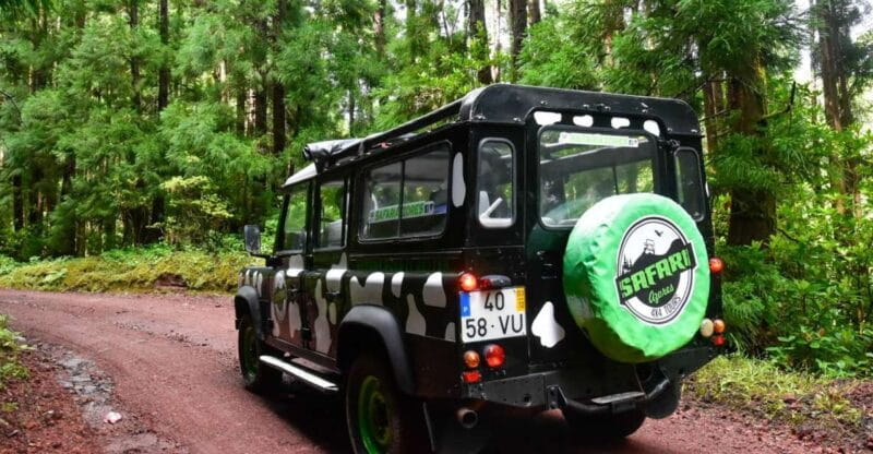 São Miguel Island: Full Day Furnas and Furnas Lake Tour - Key points / Takeaways