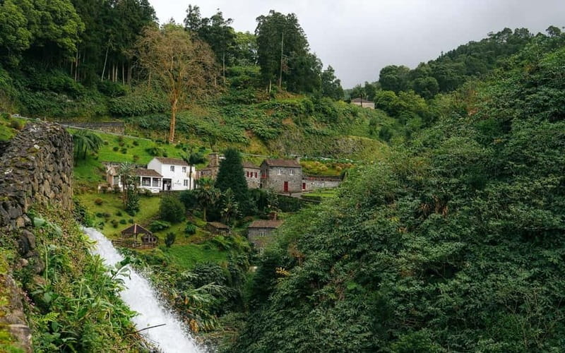 São Miguel Island: Full-Day Ribeira Park and Nordeste Tour - Discovering São Miguel: What to Expect on the Full-Day Tour