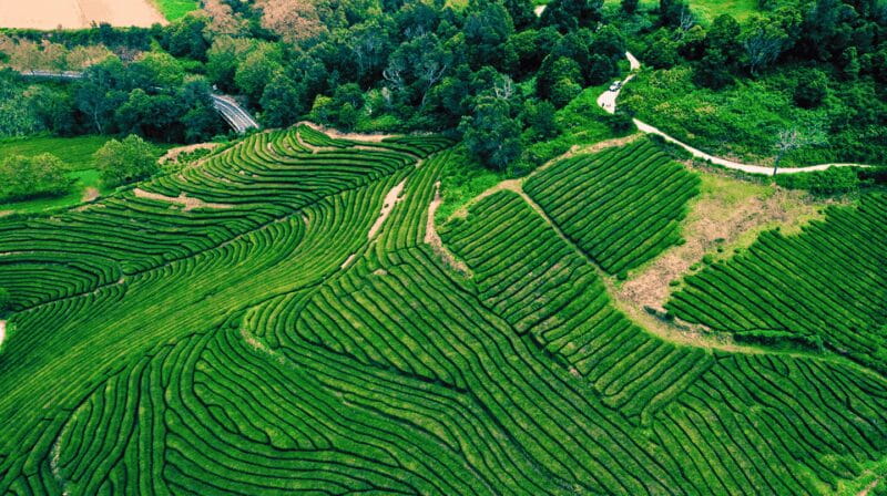 São Miguel: Majestic North Tour (Waterfalls w/Lunch) - Key points / Takeaways