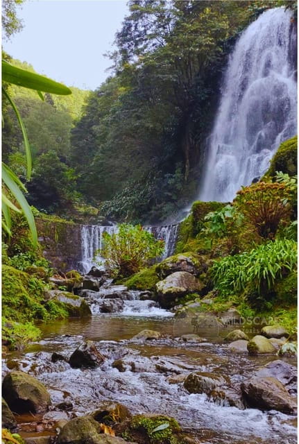 São Miguel: Majestic North Tour (Waterfalls w/Lunch) - FAQs