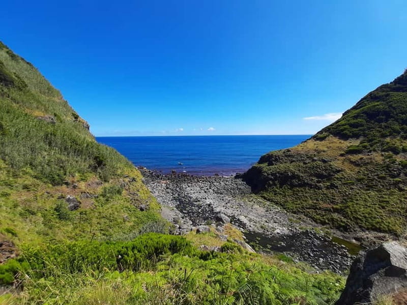 São Miguel: Moinho do Felix Hike with Tea Factory Visit - What You Need to Know Before Booking