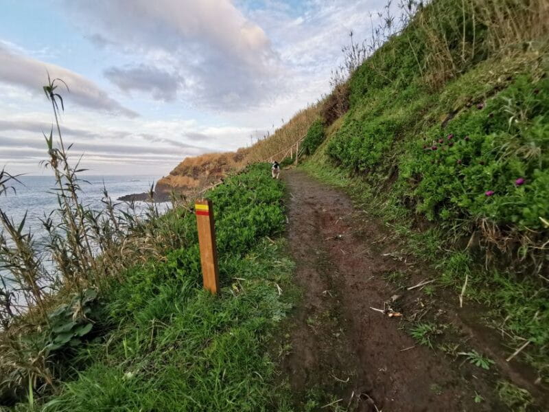 São Miguel: Ribeira Funda Hike & Tea Plantation with Lunch - Key points / Takeaways