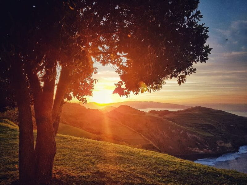 São Miguel: Ribeira Funda Hike & Tea Plantation with Lunch - Visiting Ribeira Grande and the Local Charm