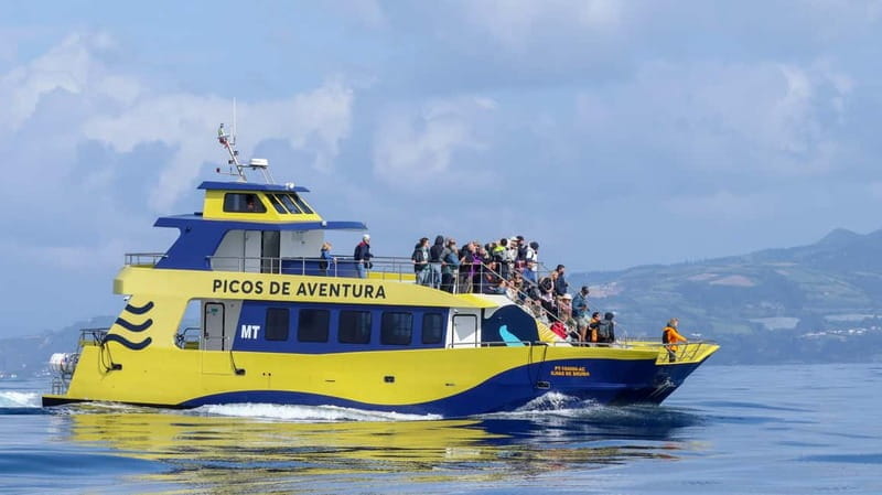 São Miguel: Whale-Watching Cruise with Marine Biologist - Exploring the Azores Marine Treasures