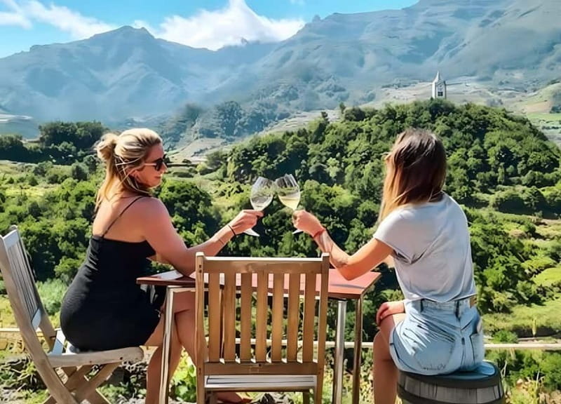 São Vicente Vineyard Visit With Traditional Lunch - Key points / Takeaways