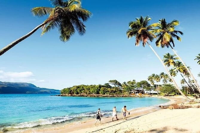 Saona Island Cruise & Private Beach - An in-Depth Look at the Saona Island Cruise & Private Beach Experience