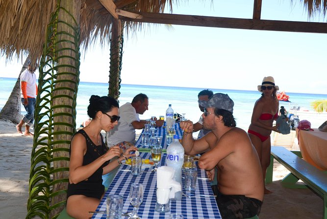 Saona Island Day Tour by Conexion Viajes - Speed Boat and Catamaran Rides