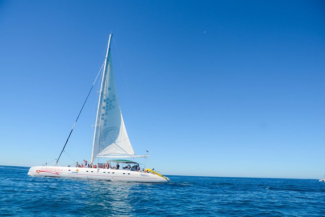 Saona Island Day Tour by Conexion Viajes - Time on Saona Island