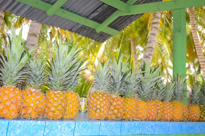 Saona Island Day Trip + Lobsters & Wine Included - Booking and Additional Information