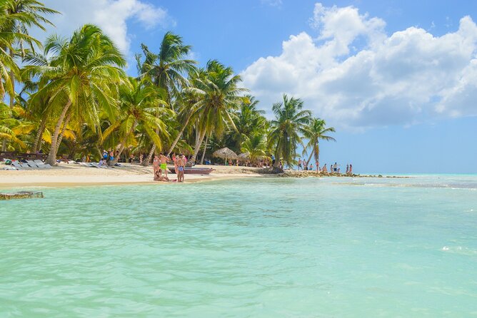 Saona Island Full-Day All-Inclusive Tour From Santo Domingo - Transportation