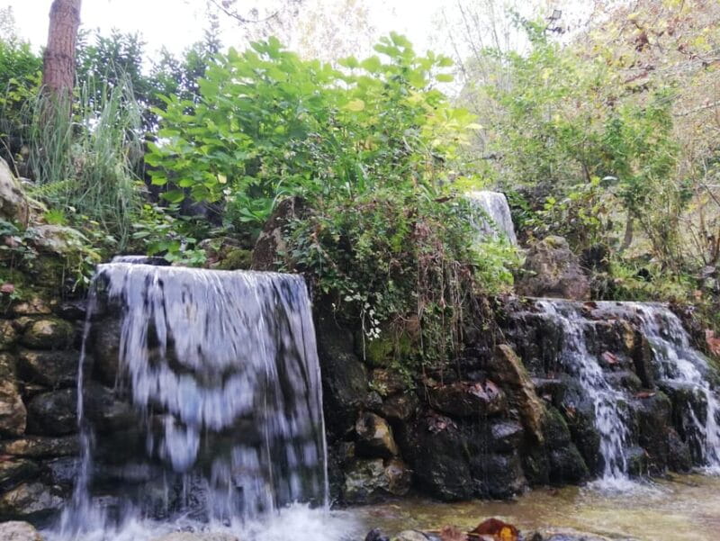 Sapanca & Masukiye Full-Day Tour with Lunch and Transfers - Exploring Sapanca & Masukiye: A Practical Look at a Budget-Friendly Day Out