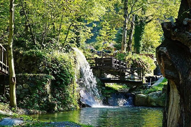 Sapanca - Masukiye Full Day Tour with Lunch - Who Will Love This Tour?