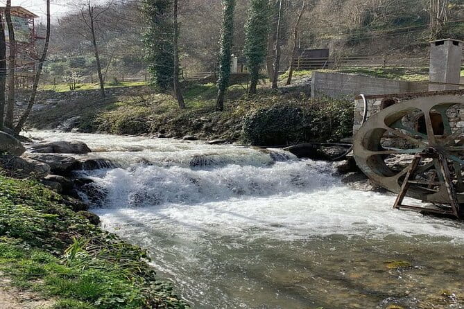 Sapanca - Masukiye Full Day Tour with Lunch - FAQ