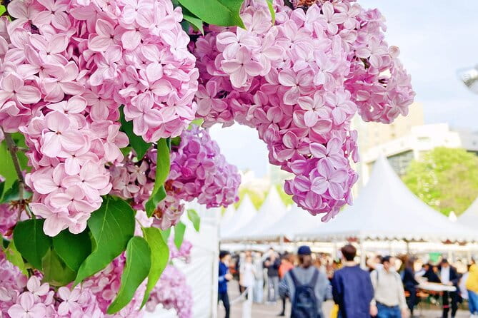 Sapporo City Tour and Seasonal Events in Odori Park Exploration - The Journey Through Odori Park