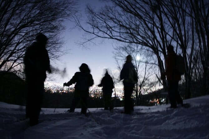 Sapporo Night Hike and Night View Private Guided Experience - What to Expect During the Night Hike