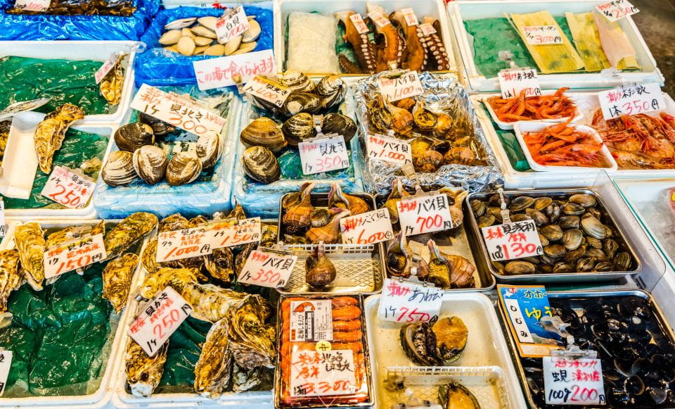 Sapporo: Private and Personalized Eat Like a Local Tour - Meeting Point and Accessibility