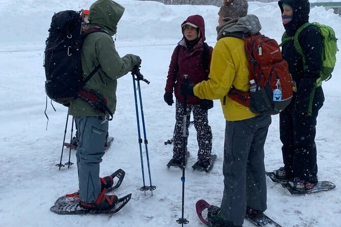 Sapporo Private Sightseeing Tour in Onsen With Special Package - Pricing and Booking Details