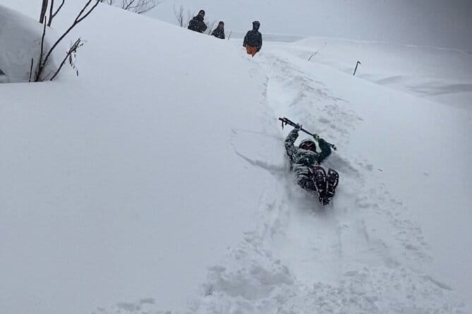 Sapporo Private Sightseeing Tour in Onsen With Special Package - Visitor Reviews and Ratings