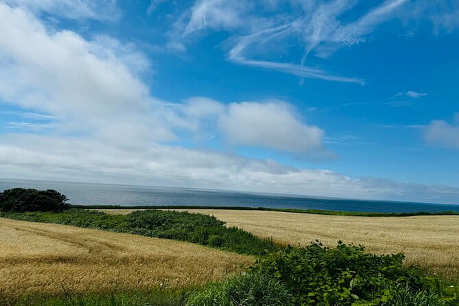 Sapporo Privete Tour: Royce Town, Autumn Foliage, Sunset Viewing - Captivating Autumn Foliage in Sapporo