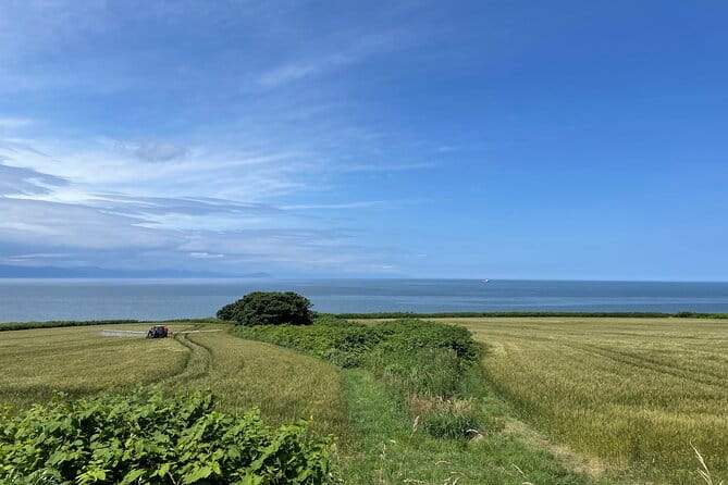 Sapporo Privete Tour: Royce Town, Autumn Foliage, Sunset Viewing - Relaxing at Toda Memorial Park
