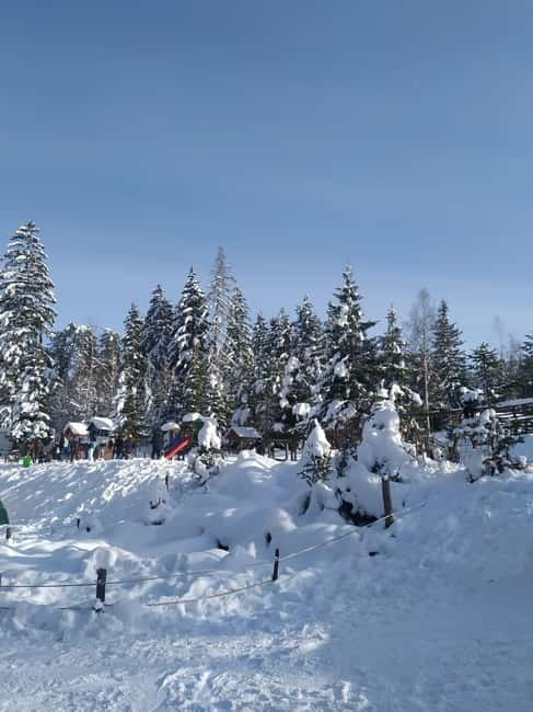 Sarajevo Sport tour: Olympic Mountains and Stadium Tour - Key Points / Takeaways