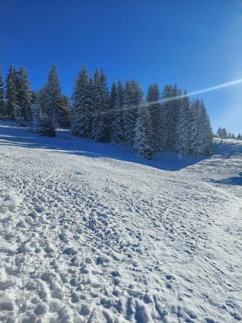 Sarajevo Sport tour: Olympic Mountains and Stadium Tour - Entering Sarajevo’s Olympic Legacy