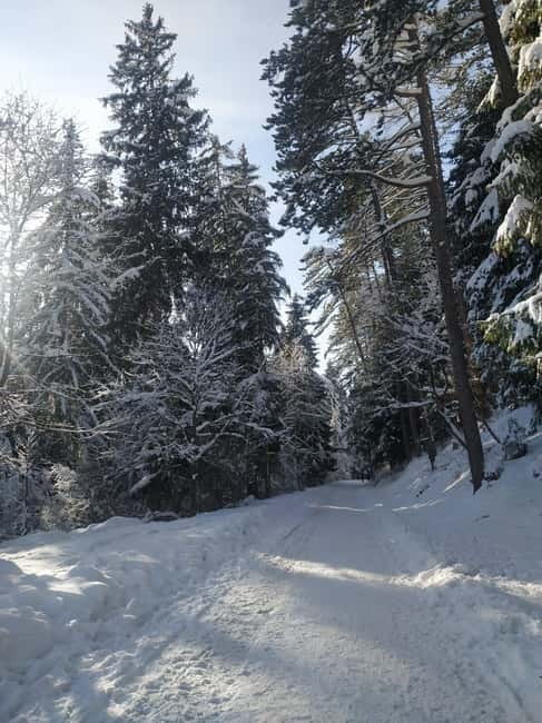 Sarajevo Sport tour: Olympic Mountains and Stadium Tour - Final Thoughts on Value and Authenticity