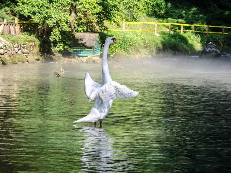 Sarajevo: Vrelo Bosne Nature Park Private Tour - Final Thoughts: A Worthwhile Nature Break