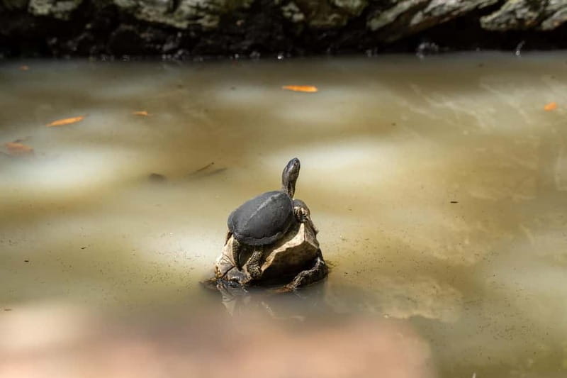Saranda 1-Day: Butrint, Ksamil, Blue Eye & Lekuresi Castle - Key points / Takeaways