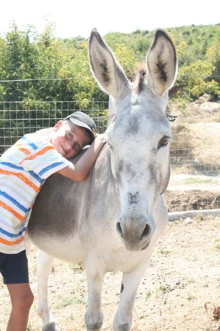 Saranda: Farm Day! Gourmet Lunch, Tour & Cooking Class! - Entering the Heart of Albanian Countryside