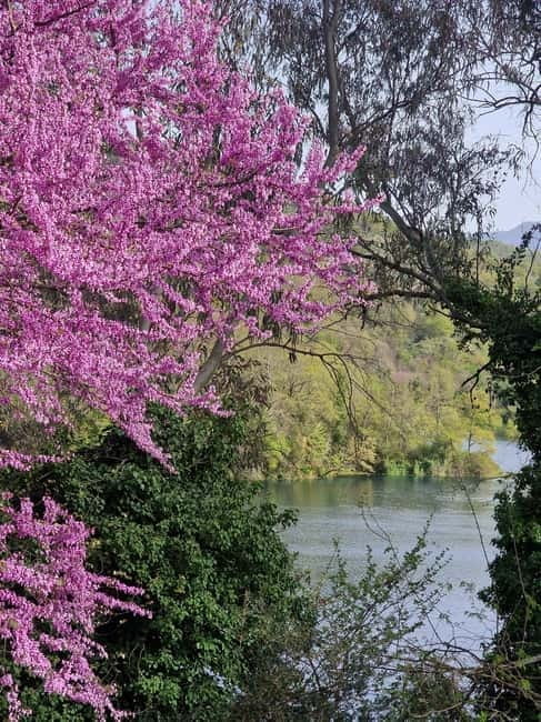 Saranda: Lekursi Castle, Blue Eye, and Gjirokastra Day Trip - Key points / Takeaways