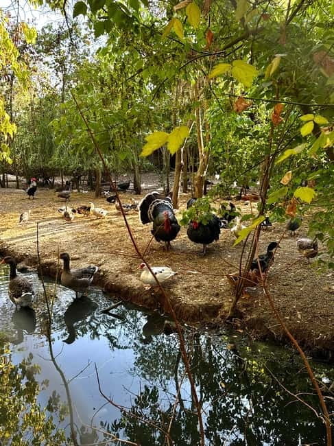 Sarande: Blue Eye with Traditional Food and Wine Tasting - Flexibility in Exploration: Choose Your Own Adventure