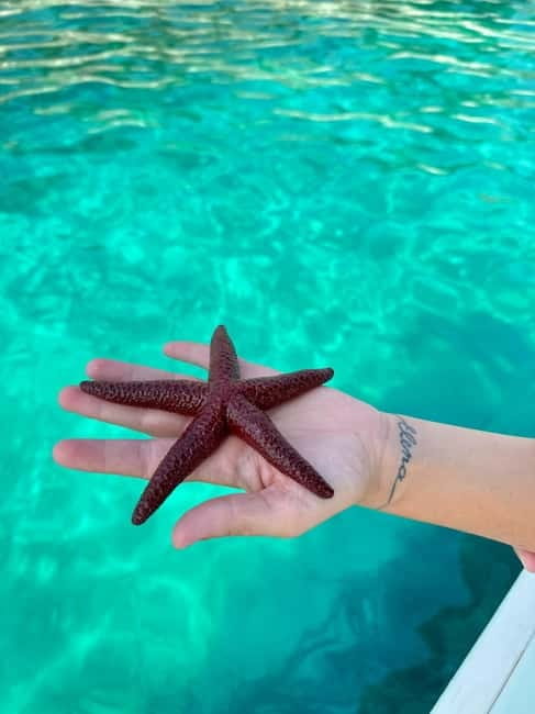 Sarandë: Explore the Magic of Ionian Sea on our Speed Boats - Key Points / Takeaways