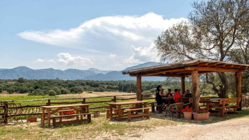 Sardinia: Dorgali Winery Tour with Tasting and Local Guide - FAQs
