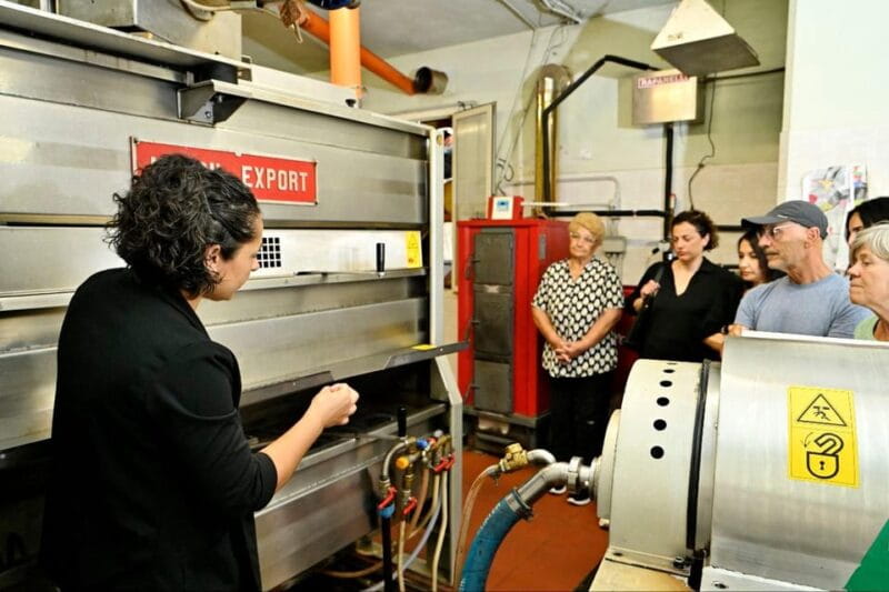 SARDINIA FOOD Tour in the oil mill, with tasting, at sunset. - Key points / Takeaways