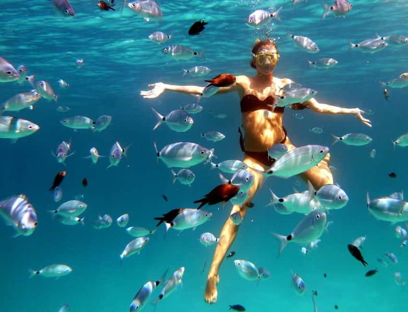 Sardinia: Morning Kayak Tour with Snorkeling - Key Points / Takeaways