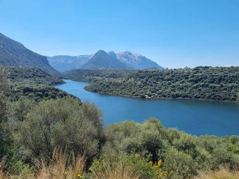 Sardinia: Private Cheese-Making Workshop and Supramonte Tour - Lunch: Rustic Flavors and Seasonal Specialties